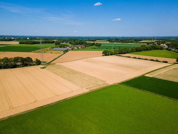 Terreni agricoli dall'alto Vista aerea su campi verdi