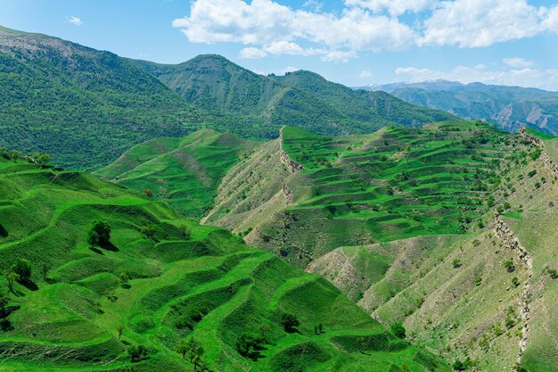 Terreni agricoli terrazzati sui pendii montuosi del Daghestan