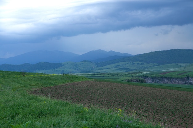 Terreni coltivati e campi in primavera