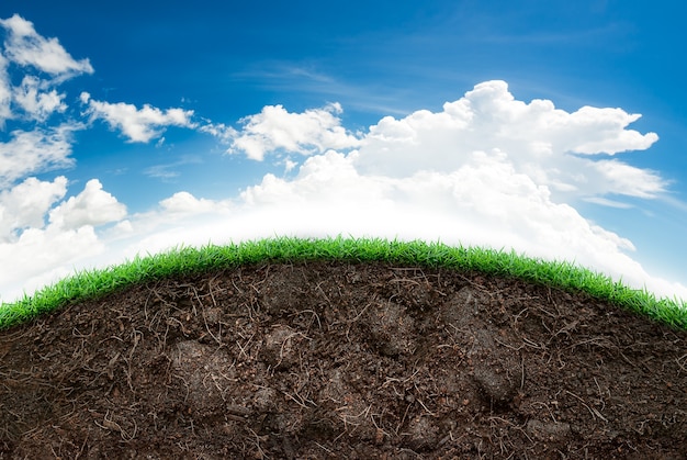 Terreno allentato ed erba verde sul cielo blu