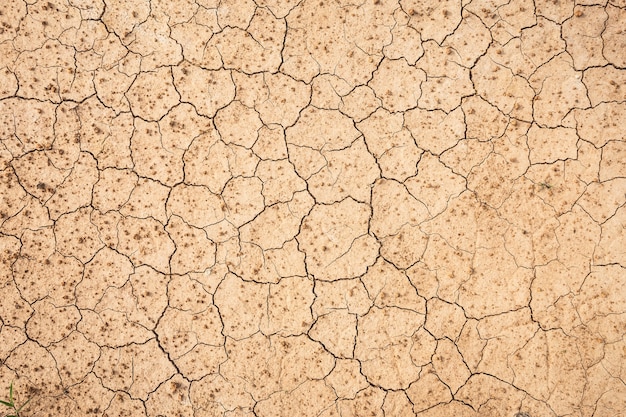 Terreno asciutto di Brown o fondo incrinato di struttura.