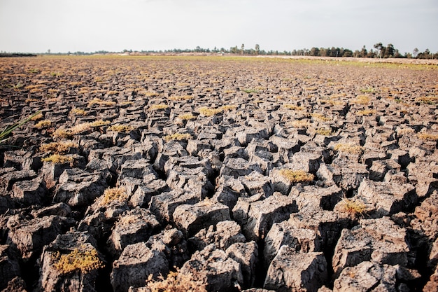 Terreno asciutto sul campo.