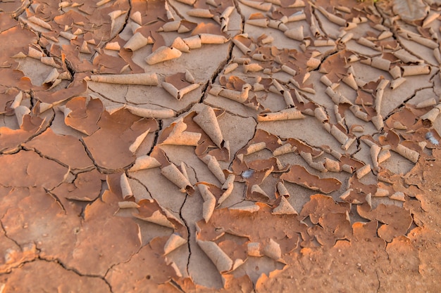 Terreno con terreno secco e incrinato