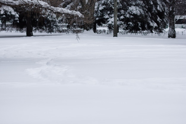 Terreno coperto di neve nel parco innevato in inverno