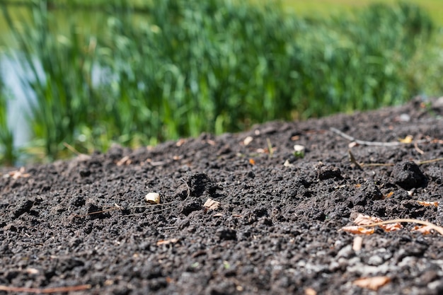 Terreno di campo, trama scura di sporcizia di terreni agricoli, foto ravvicinata