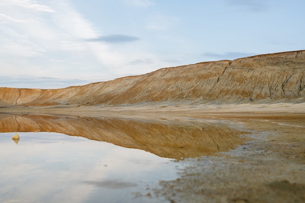 Terreno e acqua sporchi e inquinati su un territorio con una cattiva situazione ambientale che può essere utilizzato come illustrazione della catastrofe ecologica