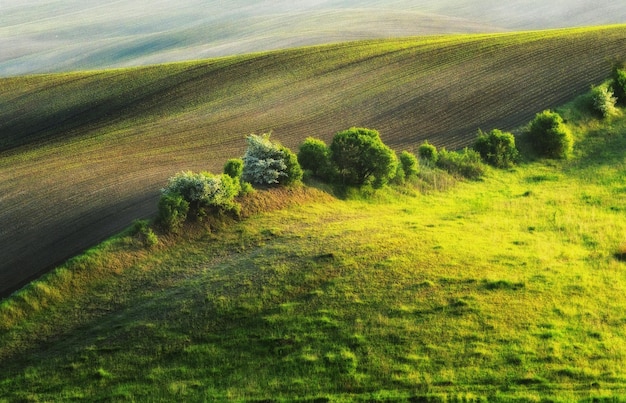 Terreno edificabile. Paesaggio primaverile