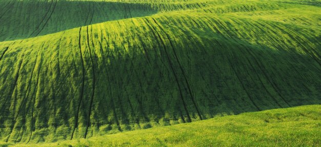 Terreno edificabile. Paesaggio primaverile