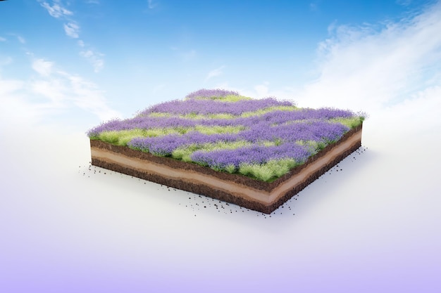 Terreno erboso da giardino cubico 3D con geologia del suolo di lavanda sezione trasversale Illustrazione 3D ecologia del suolo isolata su cielo blu