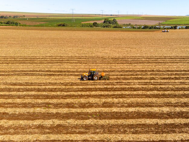 Terreno fertilizzante dove è stata piantata la canna da zucchero vista aerea.