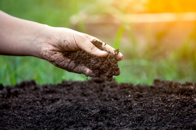 Terreno in mano per la semina