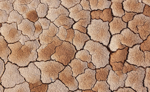 Terreno incrinato a causa della siccità. La stagione secca fa seccare e screpolare il terreno