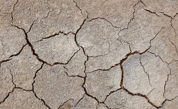 Terreno incrinato a causa della siccità. La stagione secca fa seccare e screpolare il terreno