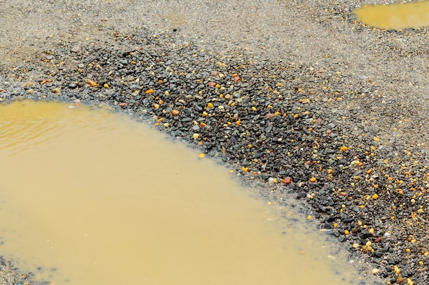 , terreno marrone bagnato in una strada di campagna sporca dopo la pioggia