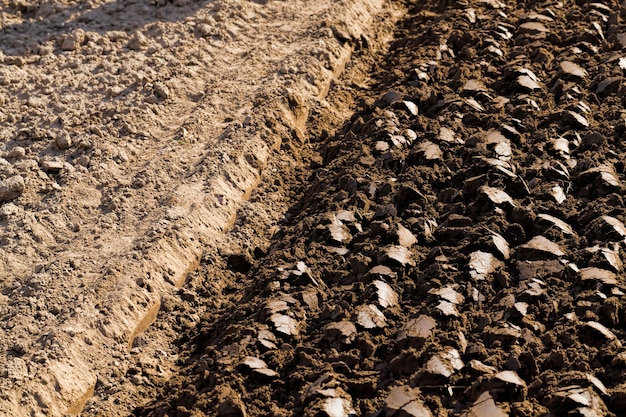 terreno marrone in un campo