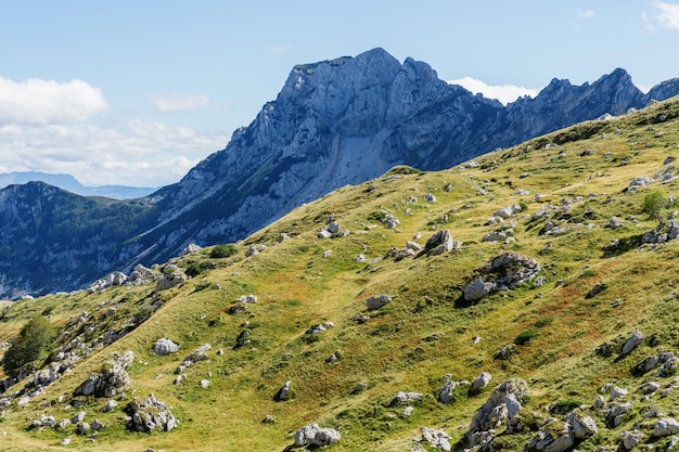 Terreno pedemontano con erba e vecchi frammenti di pietre della catena montuosa