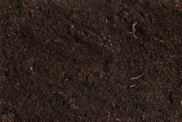 Terreno per pianta isolato su sfondo bianco. Modello del suolo.