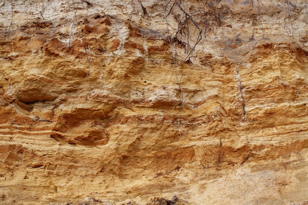 Terreno sabbioso nella sezione