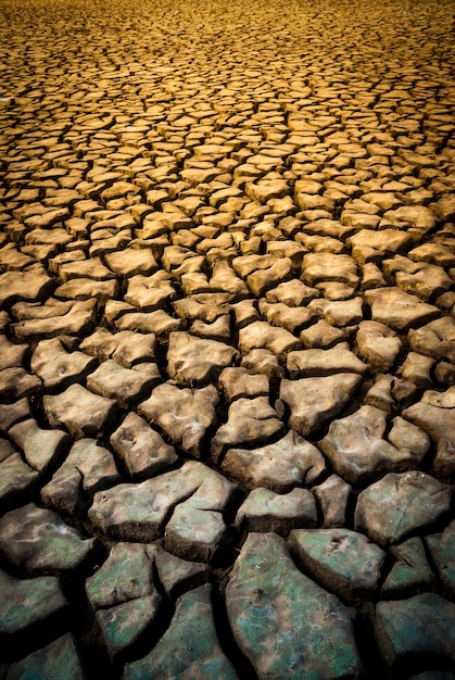 Terreno secco incrinato nella provincia di La Pampa Argentina