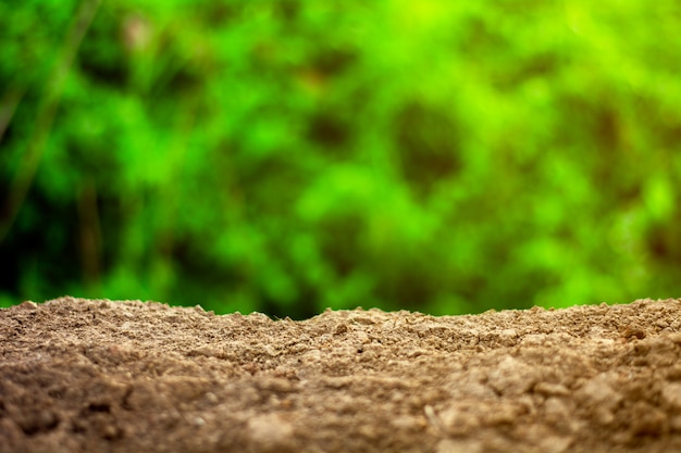 Terreno vuoto nel giorno d&#39;estate