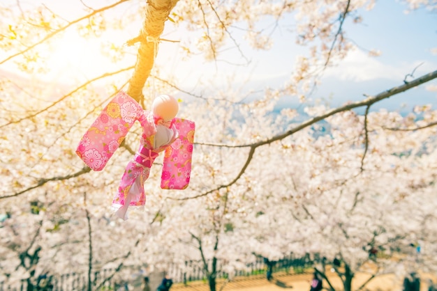 Teru Teru Bozu. Bambola giapponese della pioggia appesa all'albero di Sakura per pregare per il bel tempo