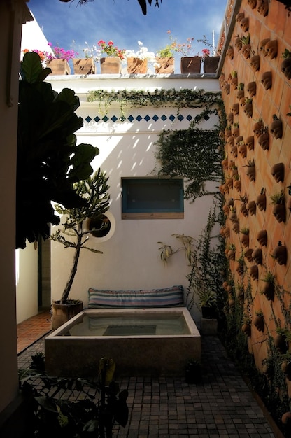 Teschi del patio centrale sul muro con una piccola piscina al centro di piante rampicanti su lastre di fango