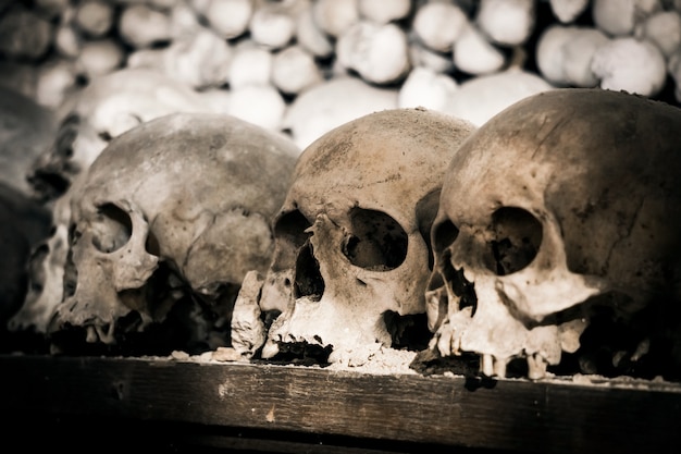 Teschi umani e ossa. Foto cupa. Morte