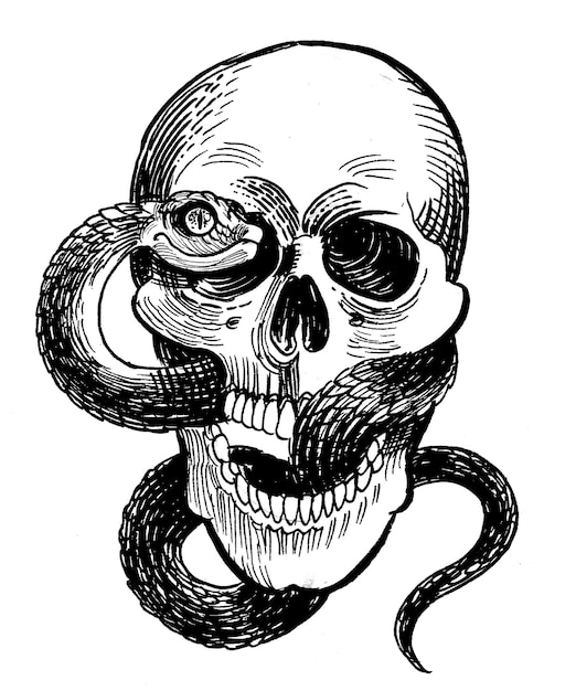 Teschio e serpente disegnati a mano Inchiostro bianco e nero su carta