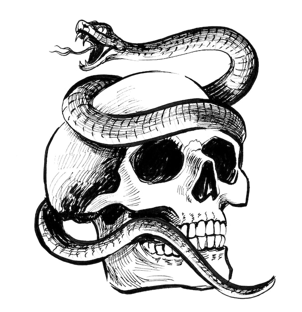 Teschio e serpente. Disegno a inchiostro in bianco e nero