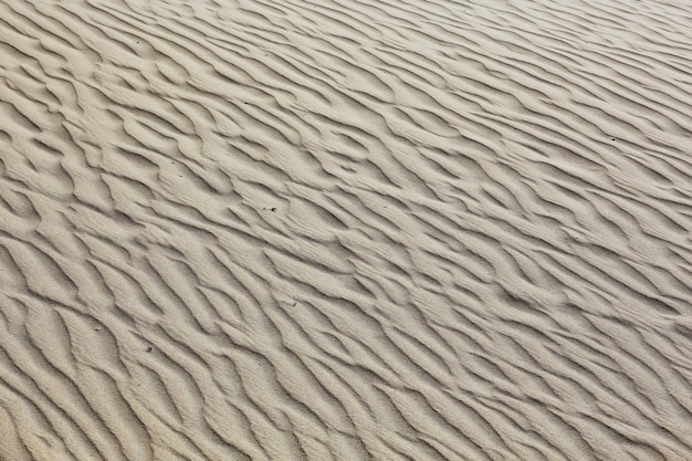 tessitura deserto terra dune di sabbia barkhans, deserti