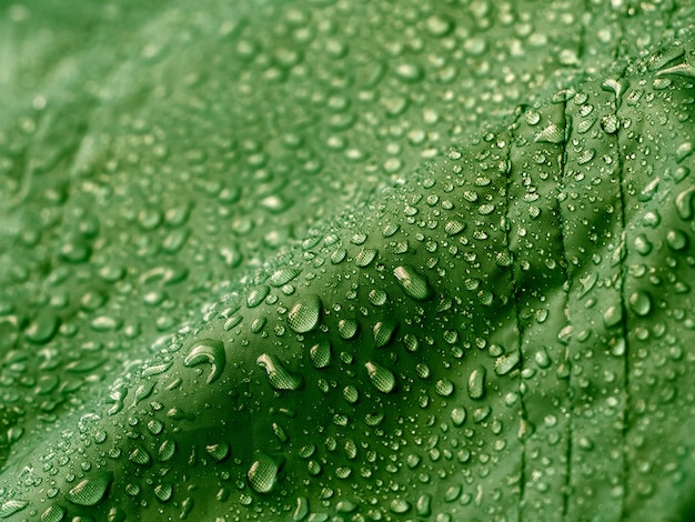 Tessuto impermeabile verde con gocce d'acqua.