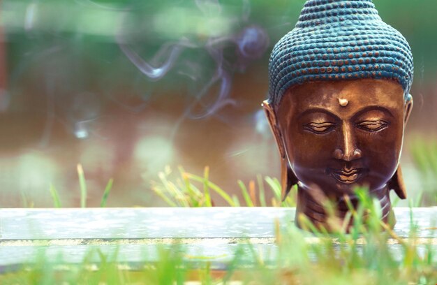 Testa di Buddha Scultura in erba con il fumo in background Posto per il testo