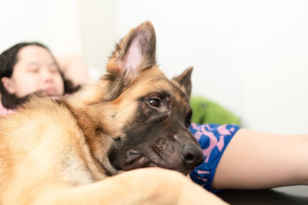 Testa di cane con il proprietario insieme seduto con cura e sorridente