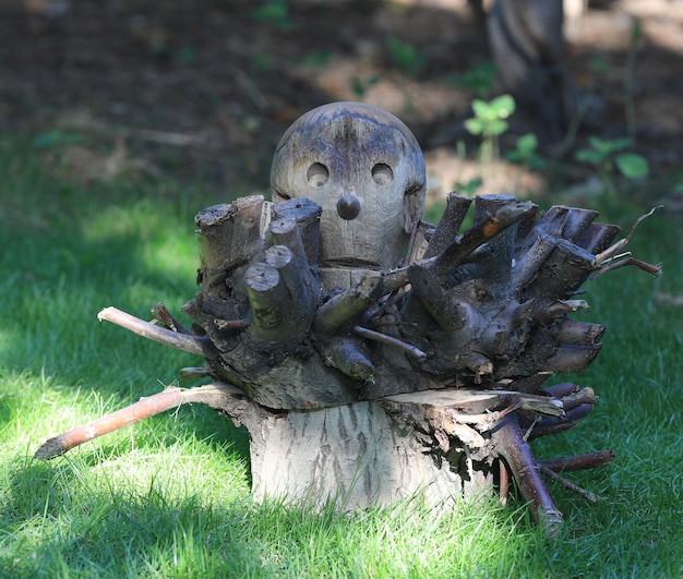 testa di legno su un ceppo