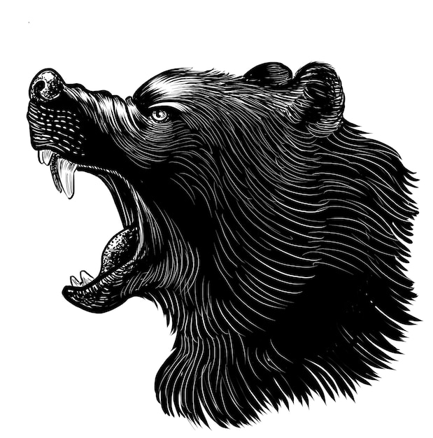Testa di orso ruggente Illustrazione in bianco e nero in stile retrò disegnata a mano
