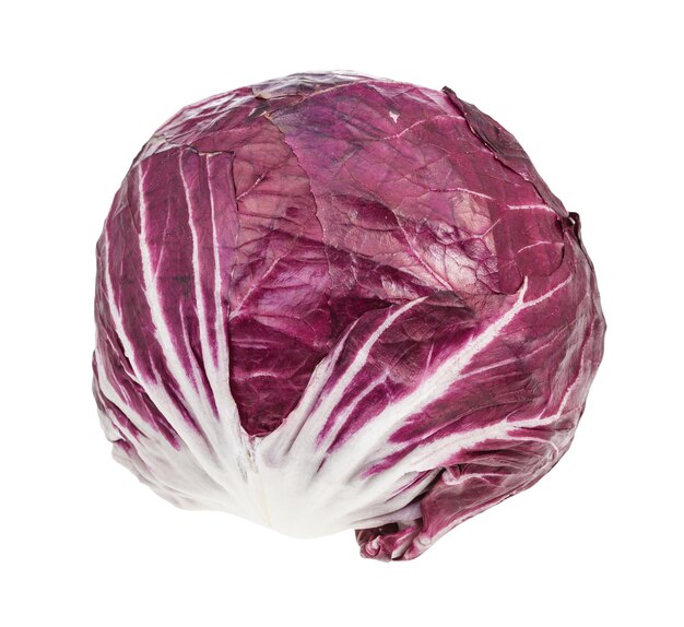 Testa di radicchio Cicoria italiana a foglia isolata