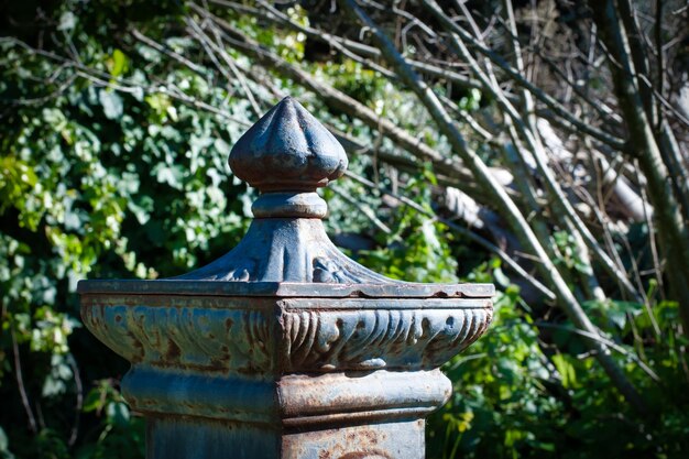Testa di un'antica fontana