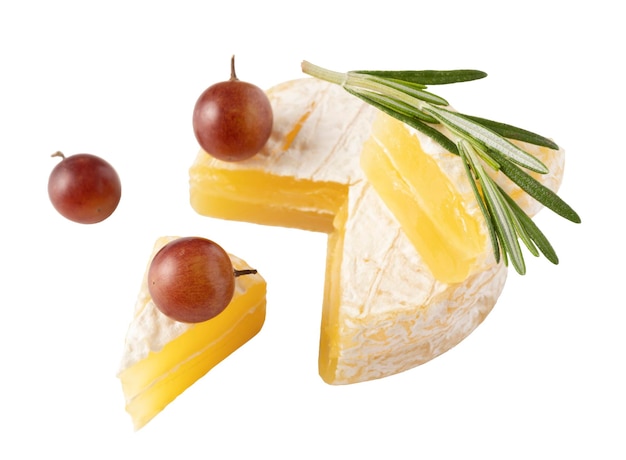 Testa e pezzo di camembert isolati