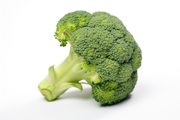 Testa fresca di broccoli su sfondo bianco su una superficie bianca o trasparente PNG sfondo trasparente