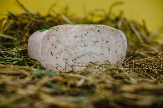 Teste di formaggio di diversi gradi e colori primo piano