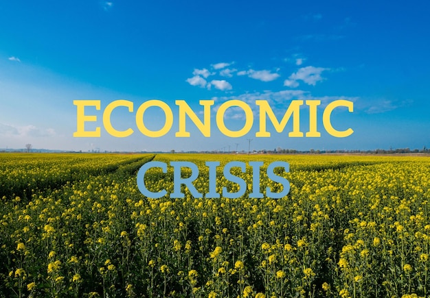 Testo CRISI ECONOMICA contro l'agricoltura defocalizzata campo messaggio fame globale crisi alimentare inflazione