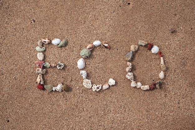 Testo eco realizzato con conchiglia sulla spiaggia sabbiosa