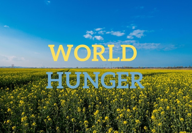 Testo FAME MONDIALE contro la defocalizzazione del messaggio sul campo dell'agricoltura Inflazione globale della crisi alimentare della fame