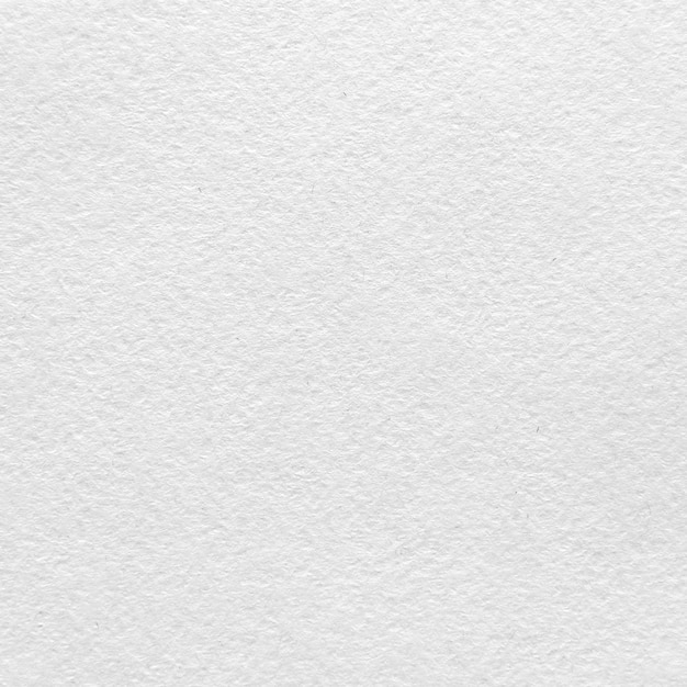 Testualità dello sfondo della carta bianca