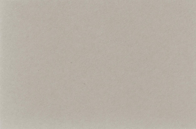 Testura di carta grigia