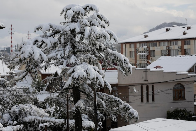 Tetti innevati delle case in una giornata invernale dopo una nevicata