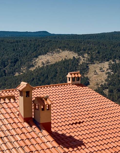 Tetto di tegole di una casa. Casa rurale con camino