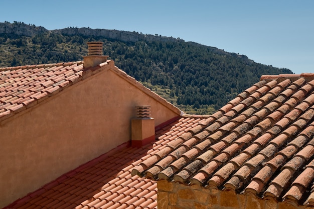 Tetto di tegole di una casa. Casa rurale con camino