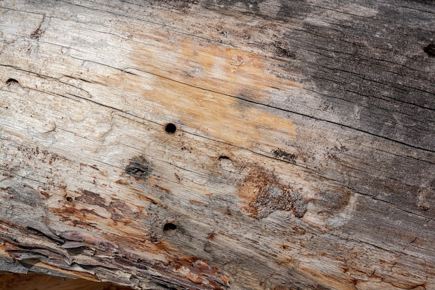 Texture del vecchio tronco d'albero secco con lunghe crepe e buchi. Immagine orizzontale.