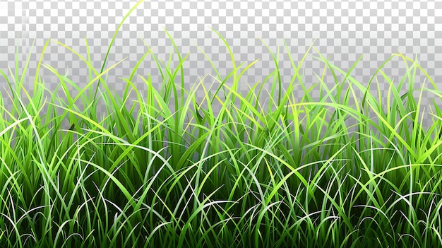 Texture dell'erba verde Illustrazione vettoriale di un campo di erba verde Usalo come sfondo per il tuo design